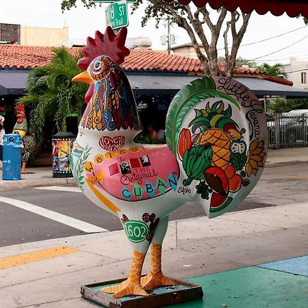 Quiet Studio Near Calle Ocho In Miami Διαμέρισμα Εξωτερικό φωτογραφία